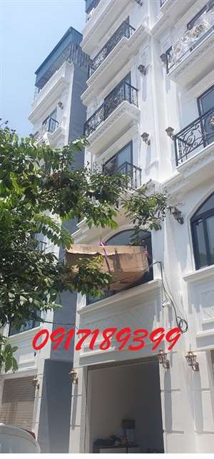 Cho thuê tời điện chuyển đồ lên nhà cao tầng